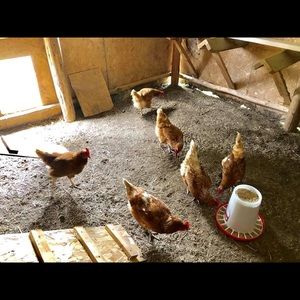 Meet your Posher, Cathy